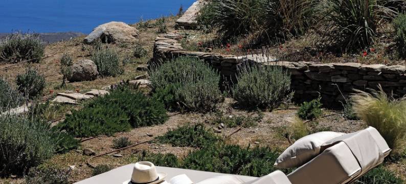 Ivy的自然度假村(Ivy's Natural Resort)图片