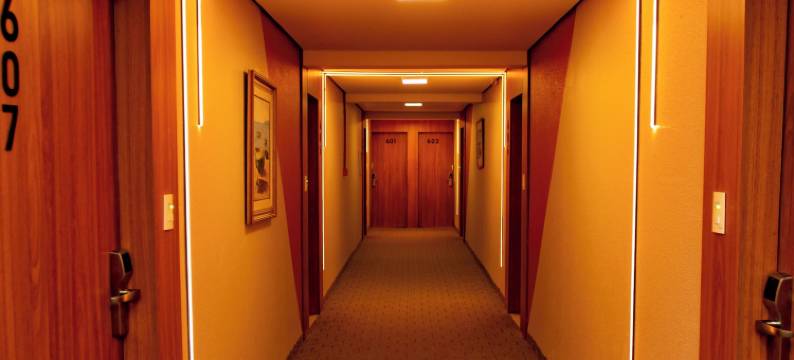 马托格罗索皇宫酒店(Mato Grosso Palace Hotel)图片