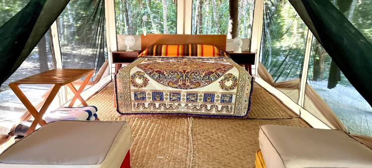 荷花露营(Glamping Bunga Lotus)图片