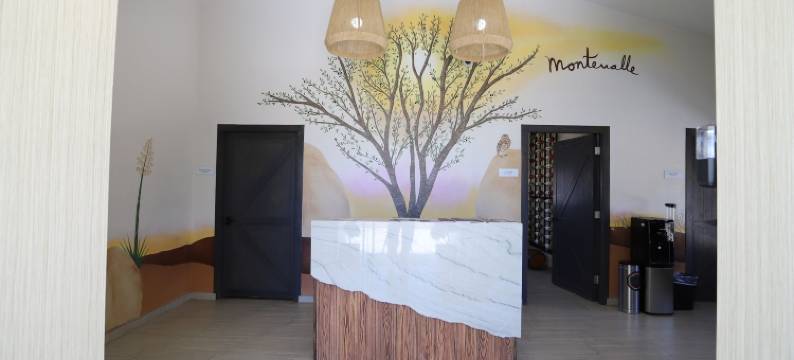 蒙特瓦勒度假村和水疗中心(Montevalle Resort and Spa)图片