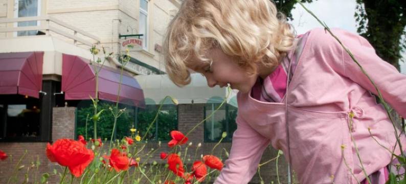 非勒尔豪夫酒店餐厅(Hotel Restaurant Vijlerhof)图片