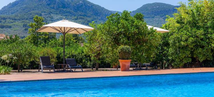 芬卡元老酒店(Finca Ca's Curial - Agroturismo - Adults Only)图片
