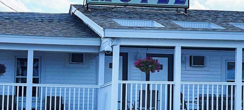 蓝松鸦汽车旅馆(Blue Jay Motel)图片