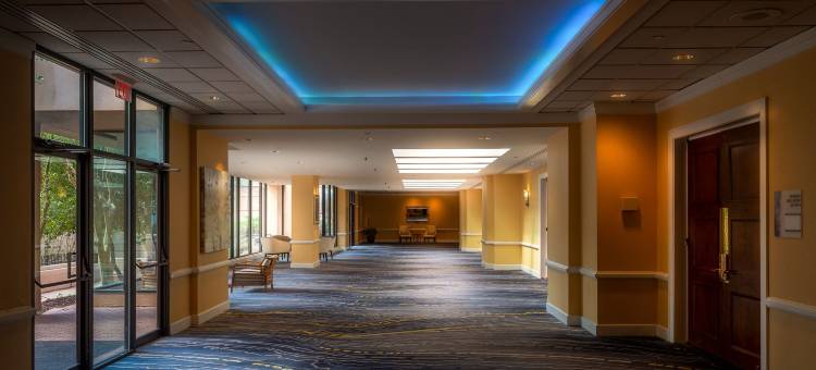 亚特兰大格威内特广场圣淘沙酒店(Sonesta Hotel Gwinnett Place Atlanta)图片