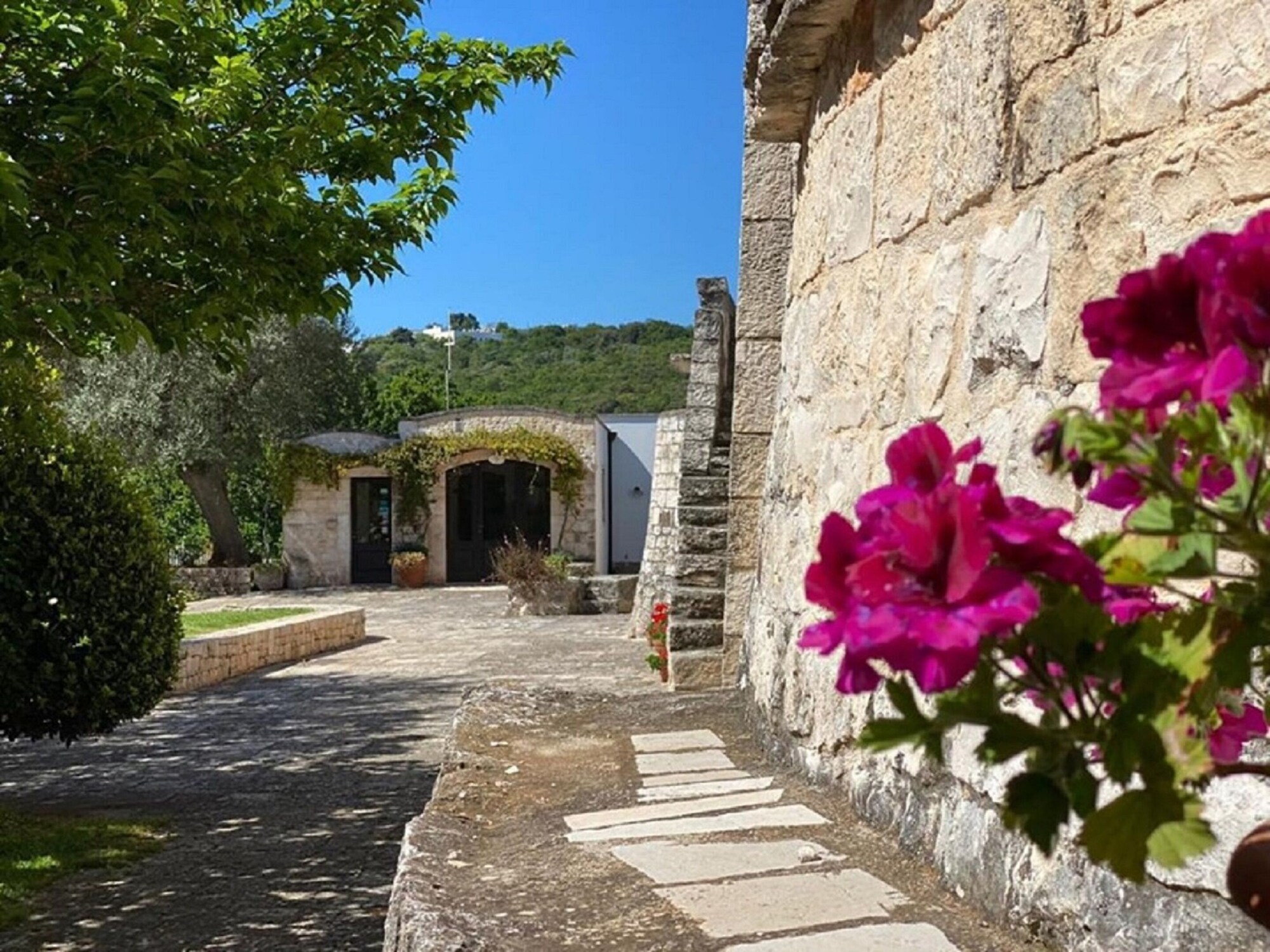 Il Palmento Hotel RelaisOver view