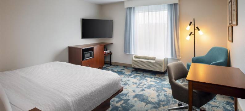 诺克斯维尔 - 土耳其溪/法拉格特希尔顿欢朋套房酒店(Hampton Inn & Suites Knoxville-Turkey Creek/Farragut)图片