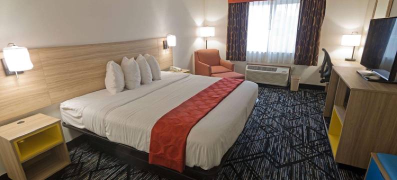 巴撒尔特华美达酒店(Ramada Limited Decatur)图片