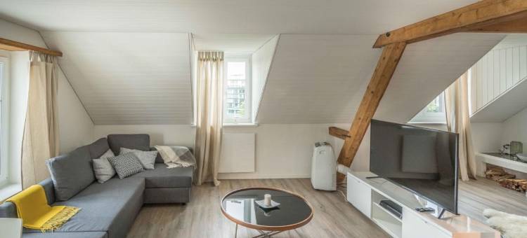 天空之家车站附近乐闻普拉茨公寓(Löwenplatz Apartment Near Station by Airhome)图片