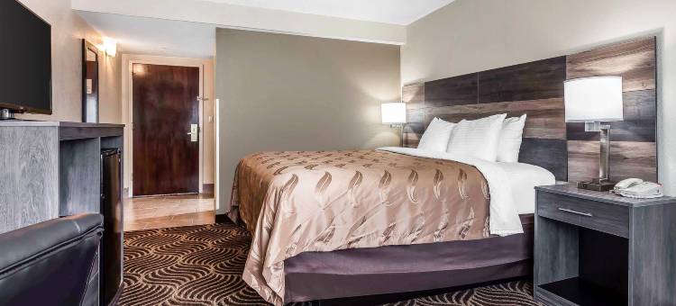 凯艺套房酒店(Quality Inn & Suites)图片