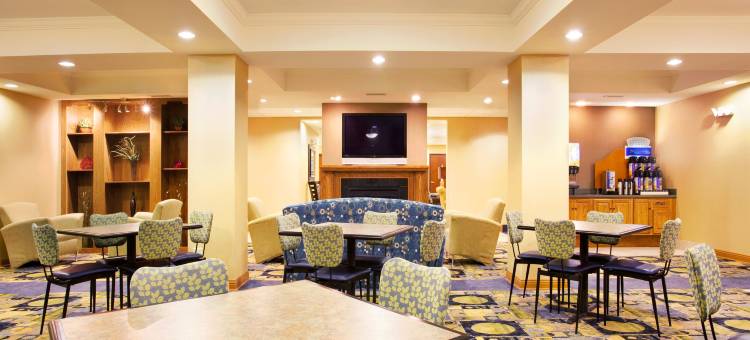 智选假日套房酒店芝加哥南兰辛(Holiday Inn Express & Suites Chicago South Lansing)图片