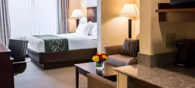 南本德圣母院大学区舒适套房酒店(Comfort Suites University Area Notre Dame-South Bend)图片