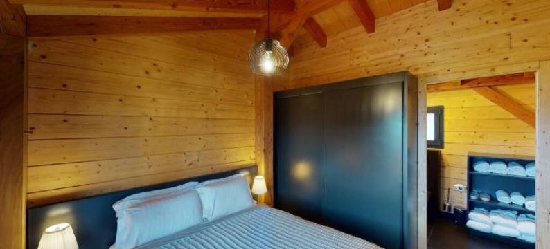 林地村(Woodland Village Anzère)图片