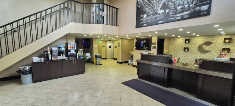 舒适酒店(Comfort Inn)图片