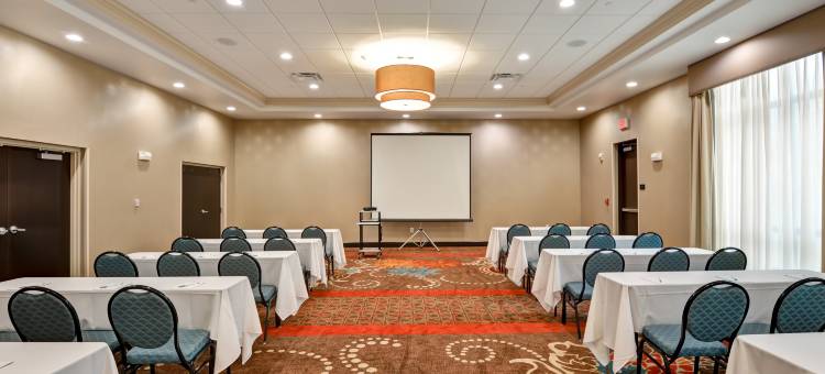 坦帕西北/奥尔兹马欢朋套房酒店(Hampton Inn & Suites Tampa Northwest/Oldsmar)图片