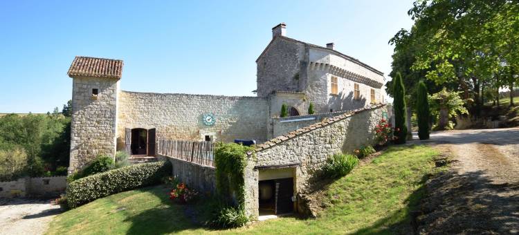 Castle near Agen with Shared Pool图片