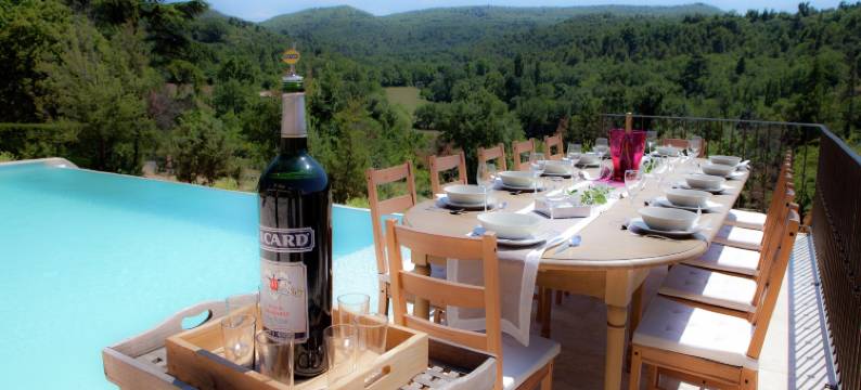 Villa in Provence with Infinity Pool图片