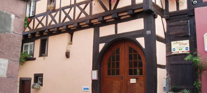 Apartment in Riquewihr near Vineyards图片
