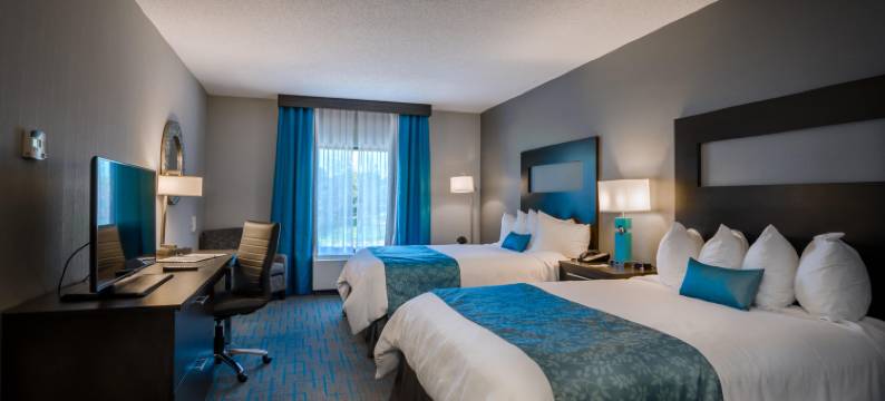 锡拉丘兹机场假日套房酒店(Holiday Inn & Suites SYRACUSE AIRPORT - LIVERPOOL by IHG)图片