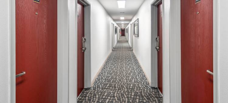 红屋顶酒店圣乔治UT-会议中心(Red Roof Inn St George, UT - Convention Center)图片