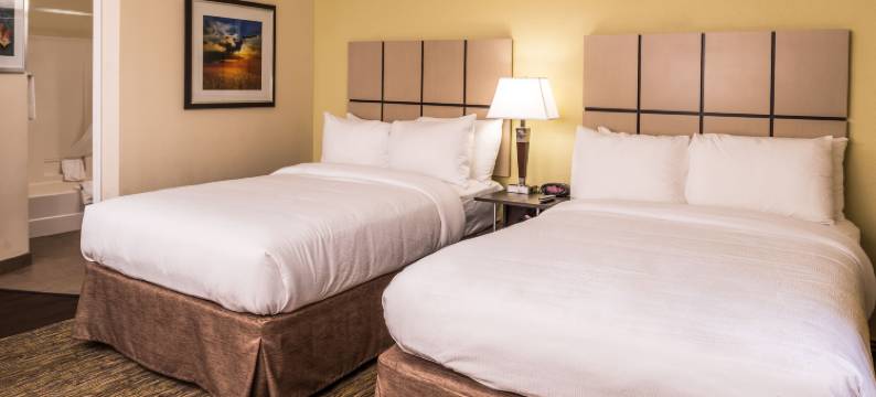 Candlewood Suites 堪萨斯城(Candlewood Suites KANSAS CITY SPEEDWAY by IHG)图片