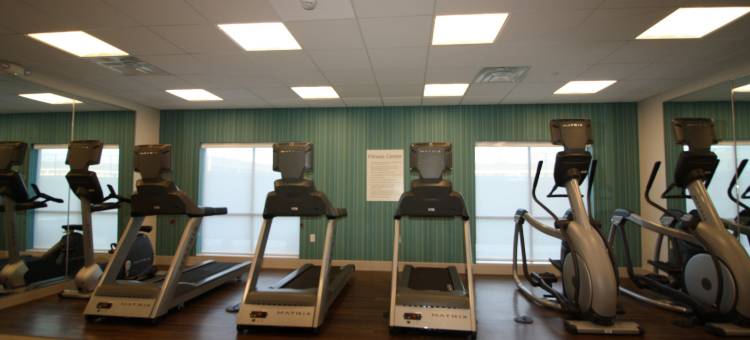 智选假日套房酒店-柯克斯维尔大学区(Holiday Inn Express & Suites Kirksville - University Area)图片