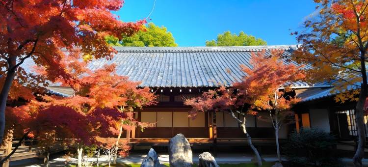 京都格兰贝尔酒店(Kyoto Granbell Hotel)图片
