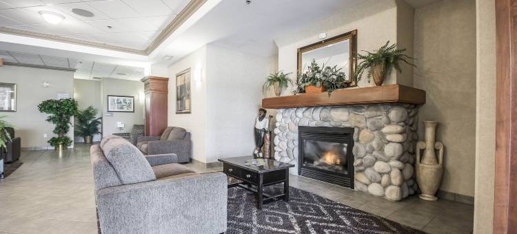 舒适套房酒店(Comfort Inn & Suites)图片