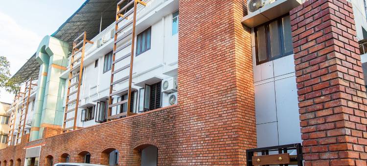 Treebo Trend Adrak图片