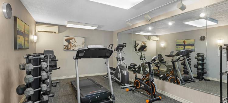 品质酒店及套房(Quality Inn & Suites 5585 Ambler Drive Mississauga Ontario)图片