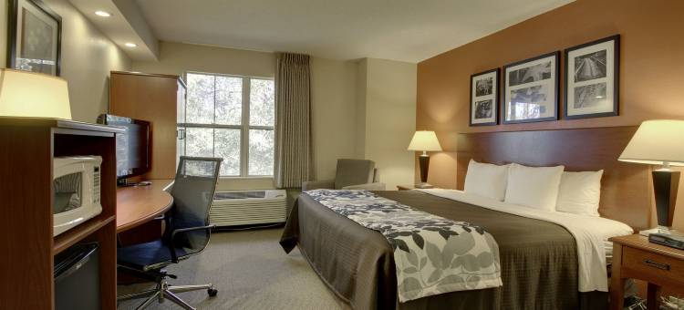 芒特普林森查尔斯顿舒眠酒店(Sleep Inn Mt. Pleasant - Charleston)图片