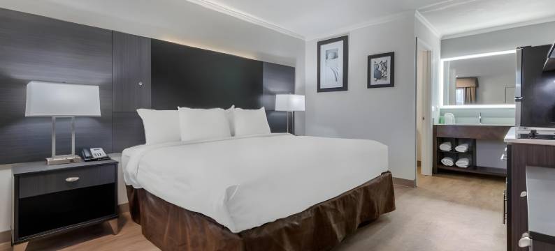 大学郊区开放式客房(Suburban Studios at the University)图片