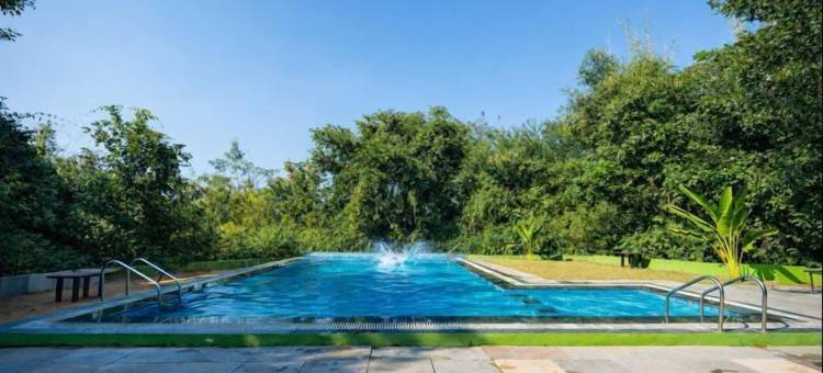 马胡阿托拉塔多巴(Mahua Tola Tadoba)图片