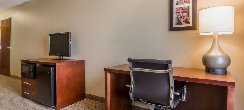 米沙瓦卡-南本德舒适套房酒店(Comfort Inn & Suites Mishawaka-South Bend)图片