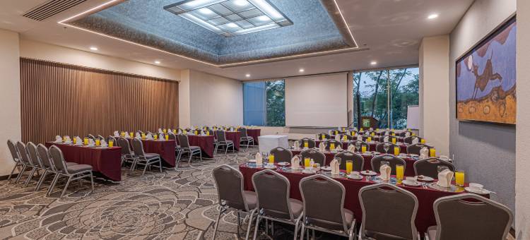 Holiday Inn 瓜达拉哈拉(Holiday Inn GUADALAJARA SELECT by IHG)图片