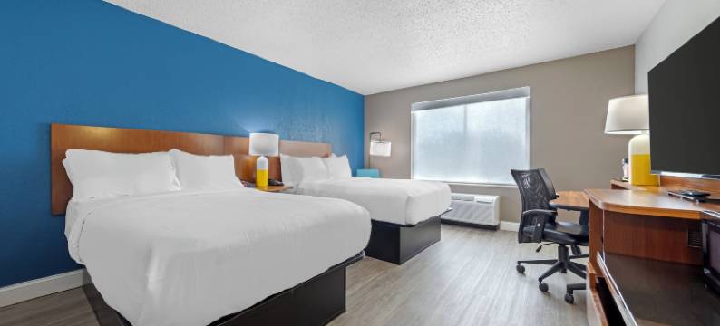 舒适套房酒店-芒特劳雷尔-费城(Comfort Inn & Suites Mt Laurel-Philadelphia)图片