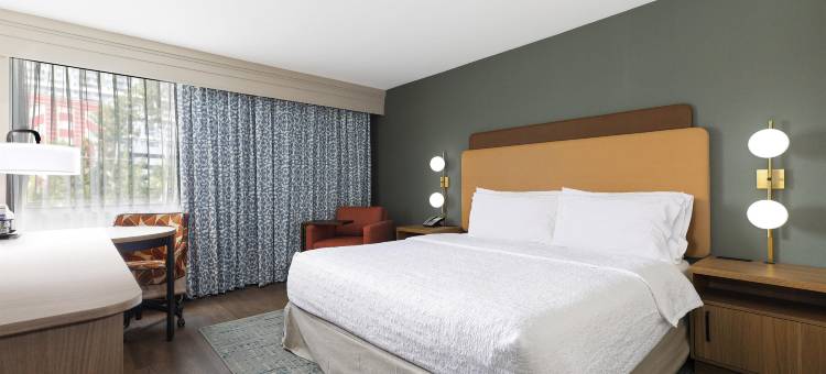 迈阿密椰林珊瑚山墙欢朋酒店(Hampton Inn Miami-Coconut Grove/Coral Gables)图片