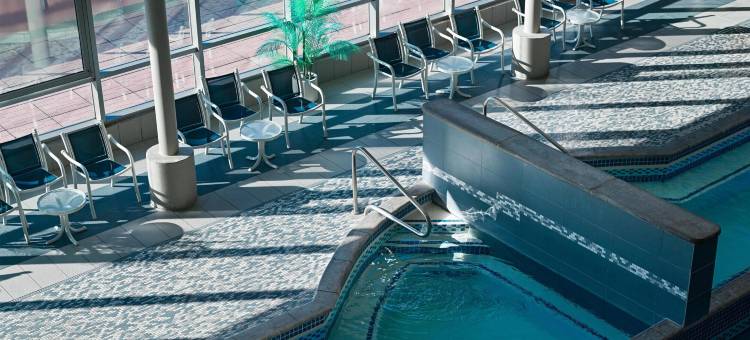 尼亚加拉瀑布/瀑景希尔顿安泊酒店(Embassy Suites by Hilton Niagara Falls/ Fallsview)图片