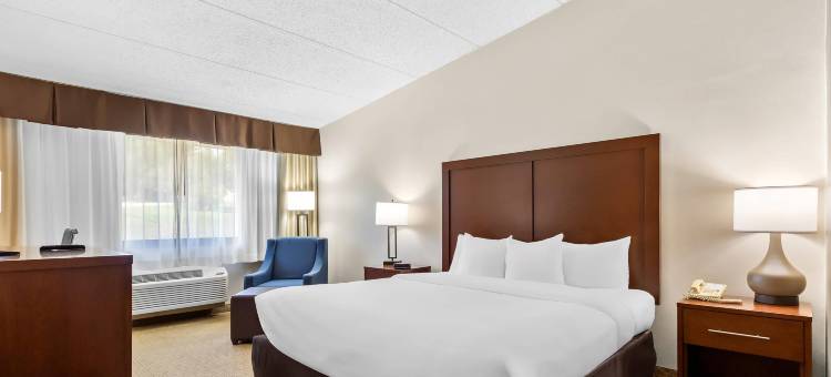 舒适酒店(Comfort Inn)图片