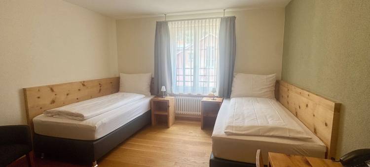 阿尔卑斯城酒店(Hotel Alpenstadt)图片