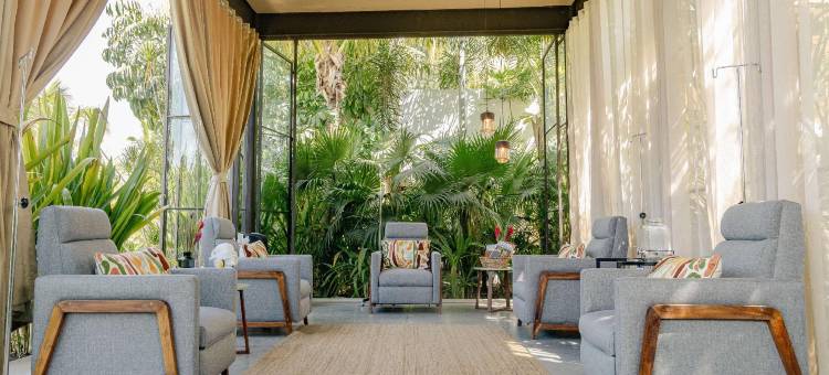 库埃纳瓦卡灵泉圣所酒店(Soul Spring Sanctuary Cuernavaca)图片