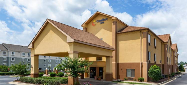 加纳克莱顿I-40舒适酒店(Comfort Inn Garner Clayton I-40)图片