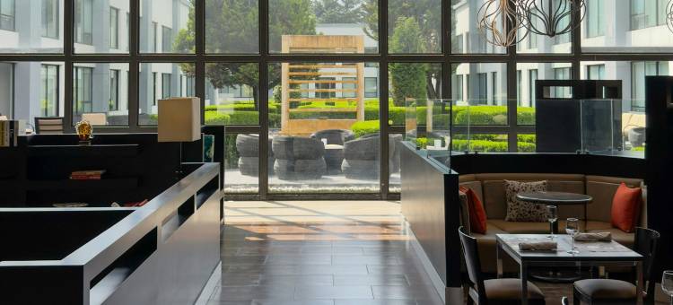 托卢卡机场万怡酒店(Courtyard Toluca Airport)图片