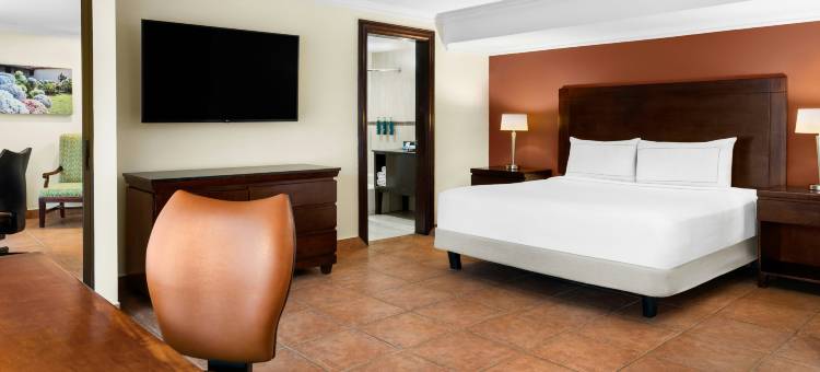 圣何塞卡里亚里希尔顿逸林酒店(DoubleTree by Hilton Hotel Cariari San Jose - Costa Rica)图片