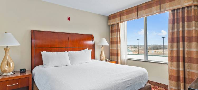 斯塔克维尔希尔顿花园酒店(Hilton Garden Inn Starkville)图片