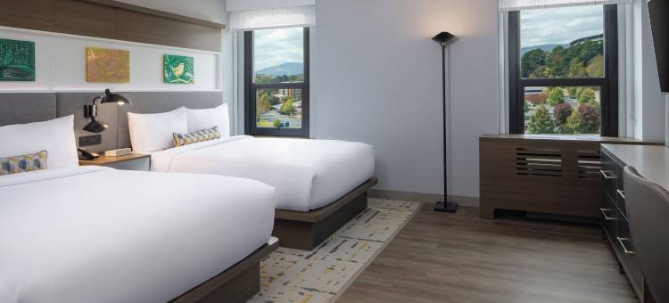 查塔努加市中心英迪格酒店(Hotel Indigo CHATTANOOGA - DOWNTOWN by IHG)图片