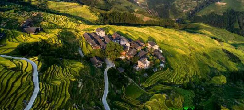 龙胜古樟驿站图片