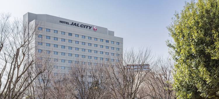 筑波日航都市酒店(Hotel JAL City Tsukuba)图片