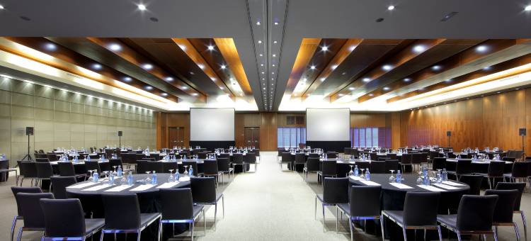 马德里塔欧洲之星酒店(Eurostars Madrid Tower)图片