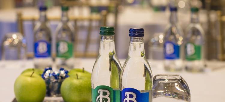 其尔凯城堡酒店(Kilkea Castle)图片