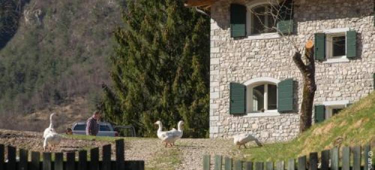 博尔戈蒂托农庄酒店(Agriturismo Borgo Titol)图片